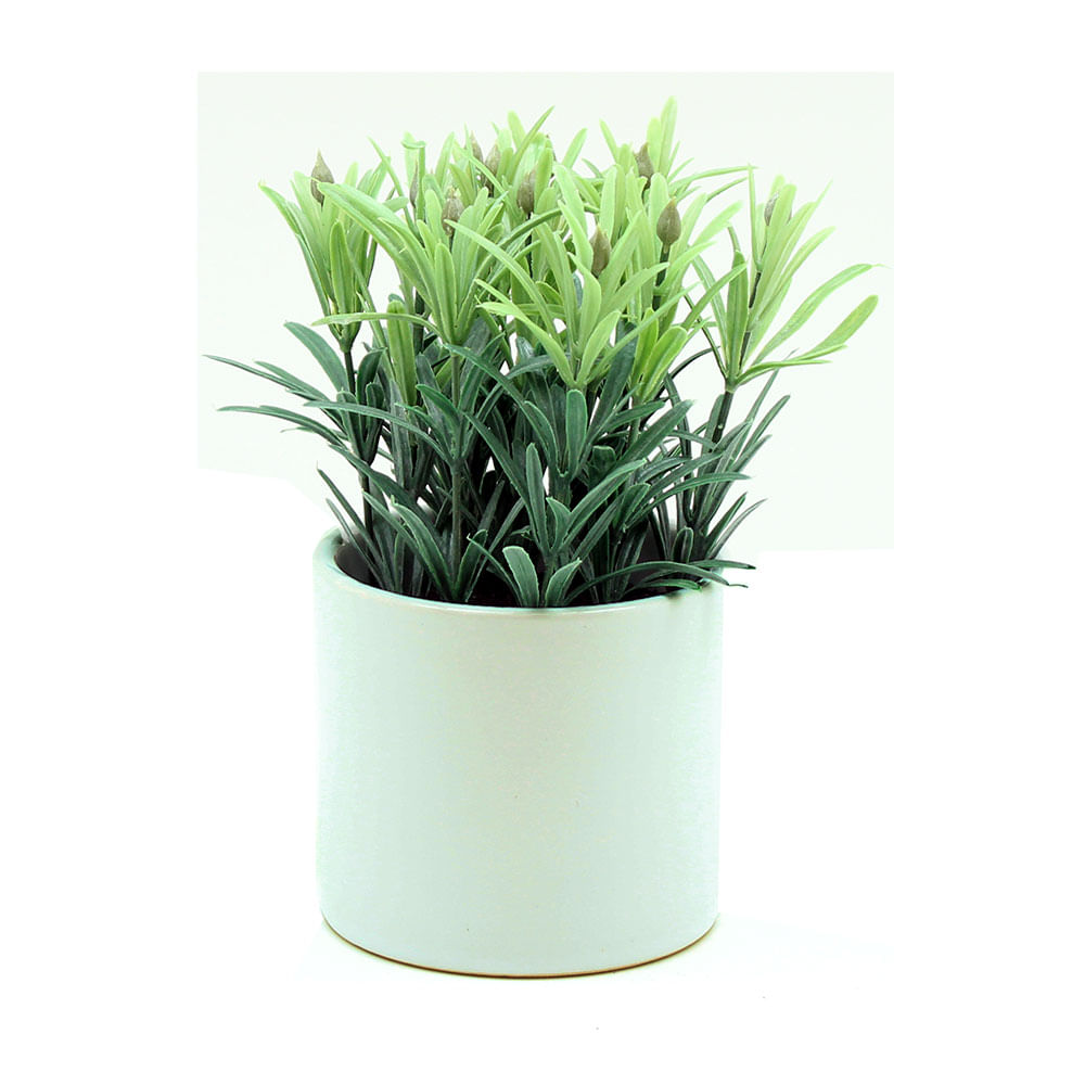 🥇Maceta Para Flores Forma De Concha En Cerámica Blanca Crp