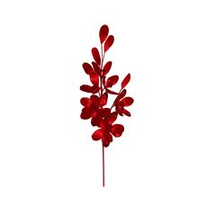 Ramas-decorativas-70cm-rojo-1-36732