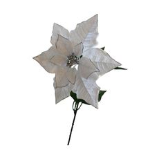 Flor-de-Pascua-73x29cm-1-37061